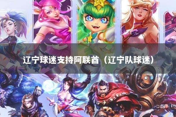 辽宁球迷支持阿联酋（辽宁队球迷）