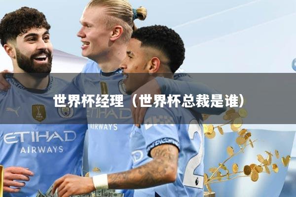 世界杯经理（世界杯总裁是谁）