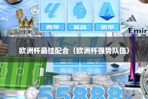 欧洲杯最佳配合（欧洲杯强势队伍）