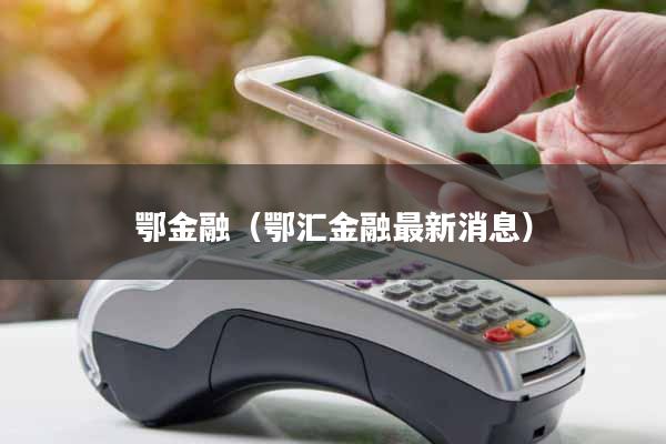 鄂金融（鄂汇金融最新消息）
