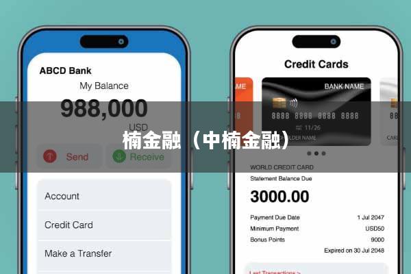 楠金融（中楠金融）