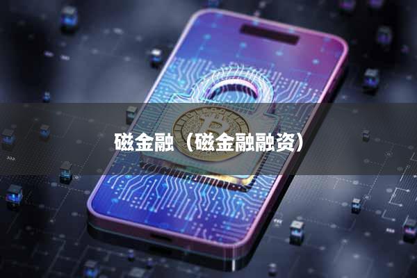 磁金融（磁金融融资）