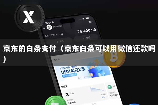 京东的白条支付（京东白条可以用微信还款吗）