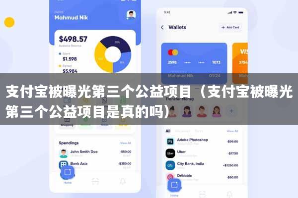 支付宝被曝光第三个公益项目（支付宝被曝光第三个公益项目是真的吗）