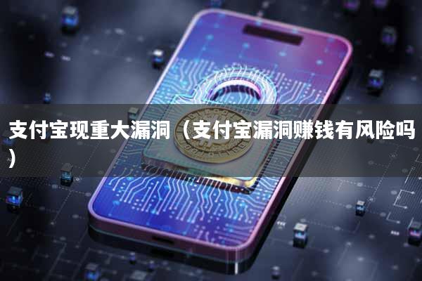 支付宝现重大漏洞（支付宝漏洞赚钱有风险吗）