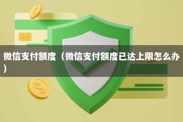 微信支付额度（微信支付额度已达上限怎么办）