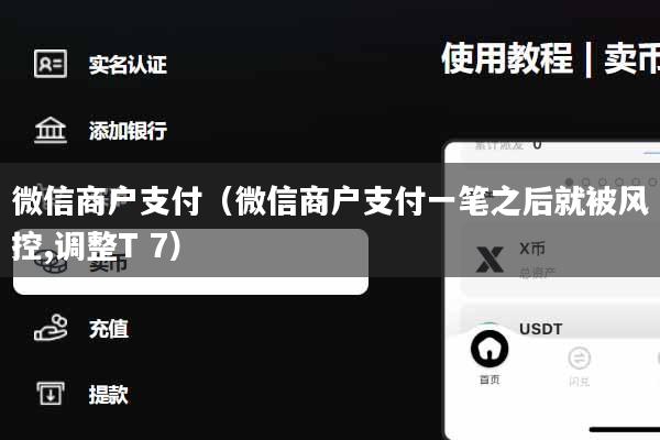 微信商户支付（微信商户支付一笔之后就被风控,调整T 7）