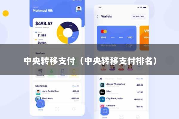 中央转移支付（中央转移支付排名）