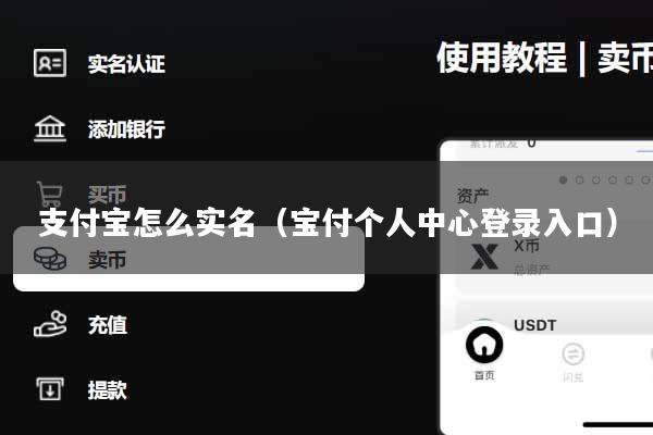 支付宝怎么实名（宝付个人中心登录入口）