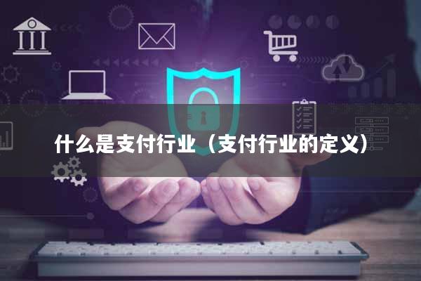 什么是支付行业(支付行业的定义)