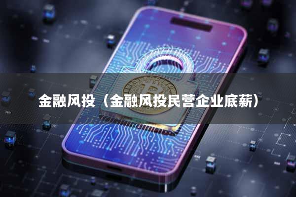 金融风投（金融风投民营企业底薪）