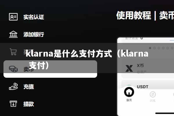 klarna是什么支付方式（klarna 支付）