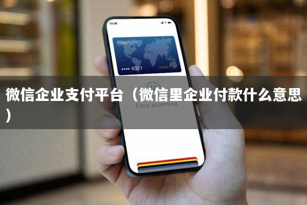 微信企业支付平台（微信里企业付款什么意思）
