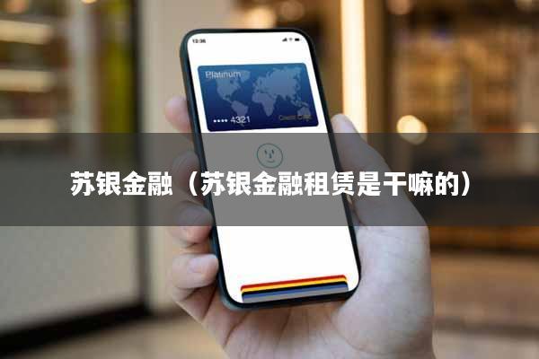 苏银金融（苏银金融租赁是干嘛的）
