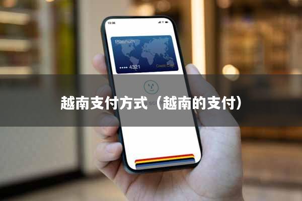 越南支付方式（越南的支付）