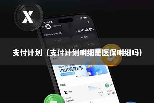 支付计划（支付计划明细是医保明细吗）