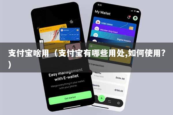 支付宝啥用（支付宝有哪些用处,如何使用?）