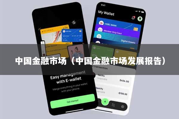 中国金融市场（中国金融市场发展报告）