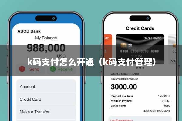 k码支付怎么开通（k码支付管理）
