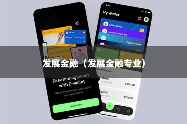 发展金融（发展金融专业）